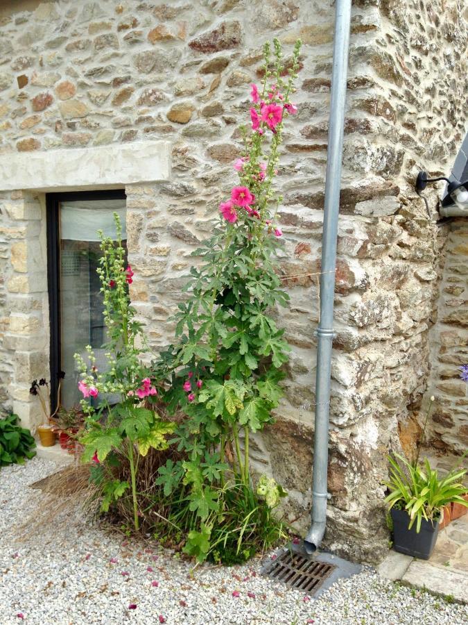 Vila L'Etable Digosville Exteriér fotografie